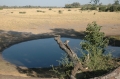 Savuit water hole 2